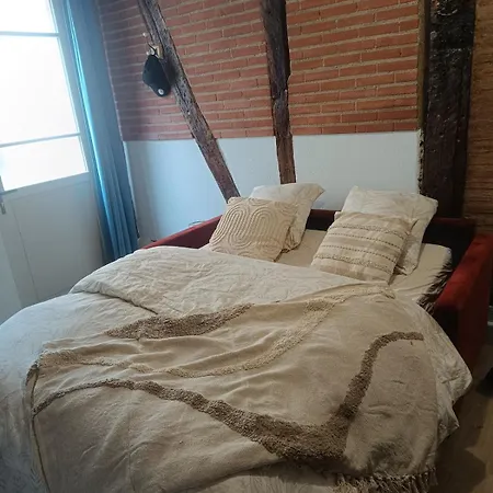 Typique Albigeois - Quartier Calme Appartement Lescure-dʼAlbigeois