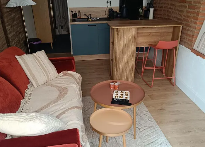 Appartement Typique Albigeois - Quartier Calme Lescure-dʼAlbigeois