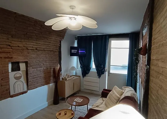 Appartement Typique Albigeois - Quartier Calme *