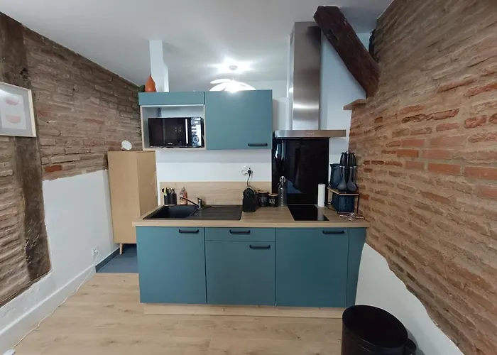 Typique Albigeois - Quartier Calme Appartement Lescure-dʼAlbigeois