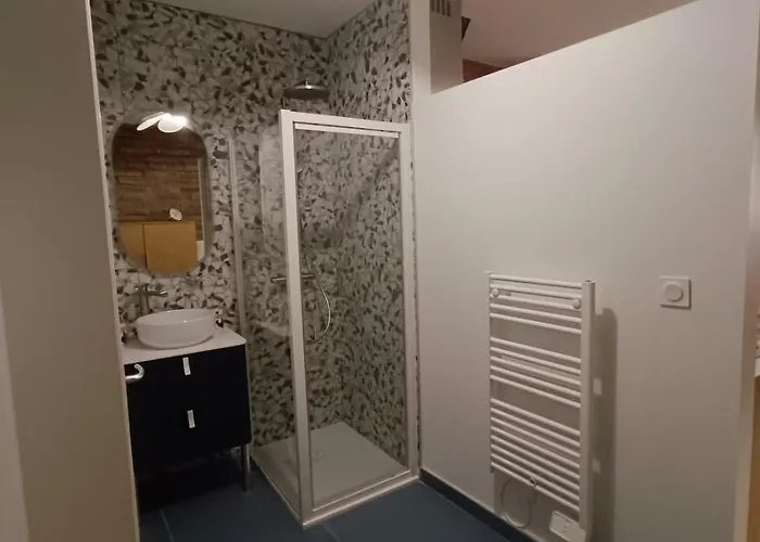 Typique Albigeois - Quartier Calme Appartement