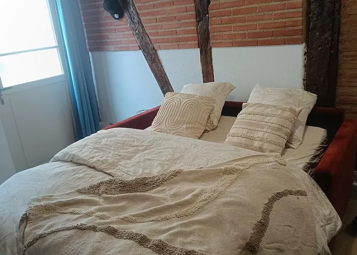 Typique Albigeois - Quartier Calme Appartement Lescure-dʼAlbigeois