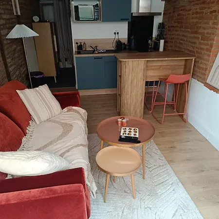 Apartamento Typique Albigeois - Quartier Calme Lescure-dʼAlbigeois