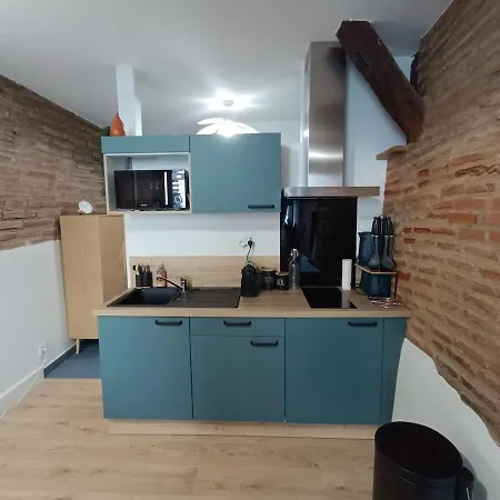 Typique Albigeois - Quartier Calme Apartment Lescure-d'Albigeois