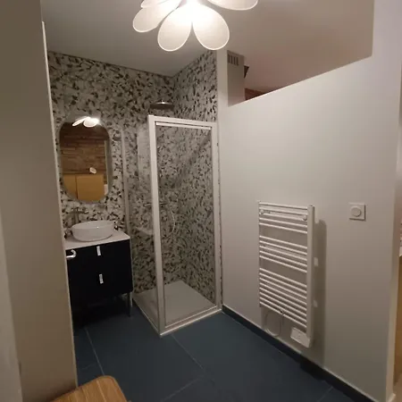 Typique Albigeois - Quartier Calme Apartamento